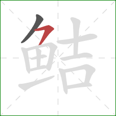 鲒的笔顺第2画：横撇