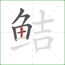鲒的笔顺第6画：竖