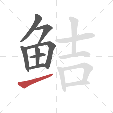 鲒的笔顺第8画：提