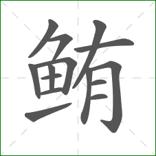 鲔的笔顺