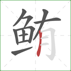 鲔的笔顺第11画：竖