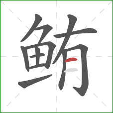 鲔的笔顺第13画：横