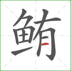 鲔的笔顺第14画：横