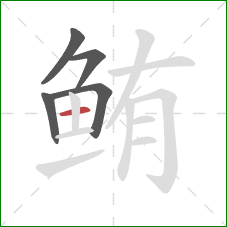 鲔的笔顺第5画：横