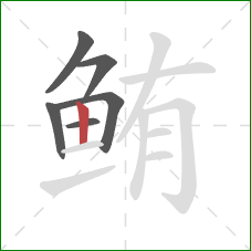 鲔的笔顺第6画：竖