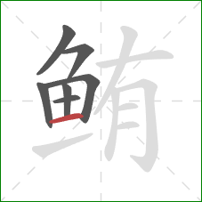 鲔的笔顺第7画：横