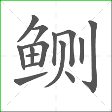 鲗的笔顺