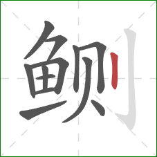 鲗的笔顺第13画：竖