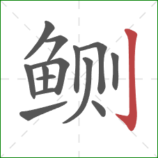 鲗的笔顺第14画：竖钩