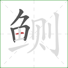 鲗的笔顺第5画：横
