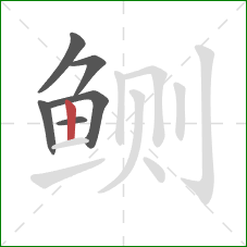 鲗的笔顺第6画：竖