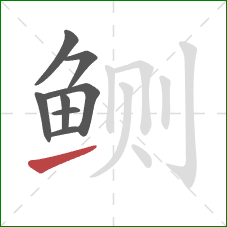 鲗的笔顺第8画：提