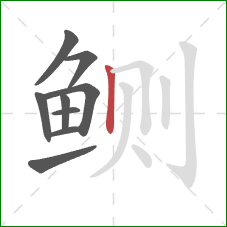 鲗的笔顺第9画：竖