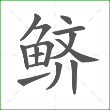 鲚的笔顺 鲚的笔顺
