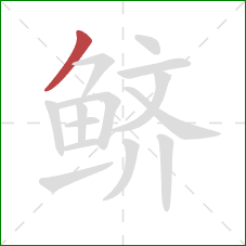 鲚的笔顺第1画:撇 鲚的笔顺第1画:撇