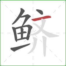 鲚的笔顺第10画:横 鲚的笔顺第10画:横