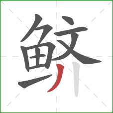 鲚的笔顺第13画:撇 鲚的笔顺第13画:撇