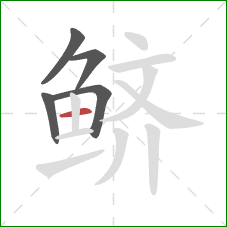 鲚的笔顺第5画:横 鲚的笔顺第5画:横