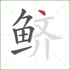鲚的笔顺第9画:点 鲚的笔顺第9画:点