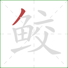 鲛的笔顺第1画：撇