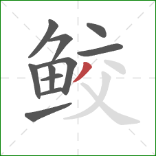 鲛的笔顺第11画：撇