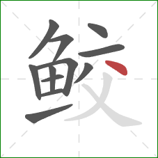 鲛的笔顺第12画：点