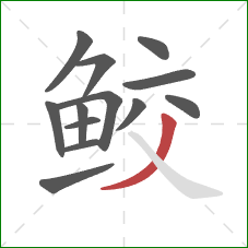 鲛的笔顺第13画：撇