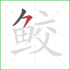 鲛的笔顺第2画：横撇