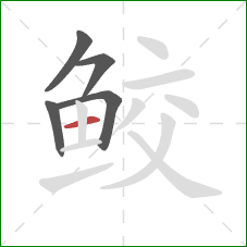 鲛的笔顺第5画：横