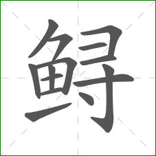鲟的笔顺