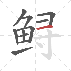 鲟的笔顺第11画：横