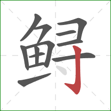 鲟的笔顺第13画：竖钩