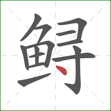 鲟的笔顺第14画：点