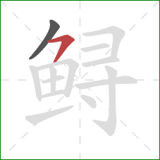 鲟的笔顺第2画：横撇