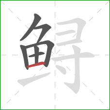 鲟的笔顺第7画：横