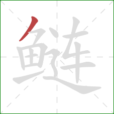 鲢的笔顺第1画：撇