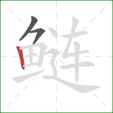 鲢的笔顺第3画：竖