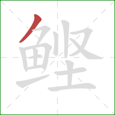鲣的笔顺第1画：撇