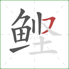 鲣的笔顺第11画：横撇