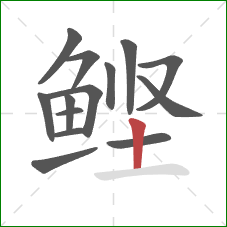 鲣的笔顺第14画：竖