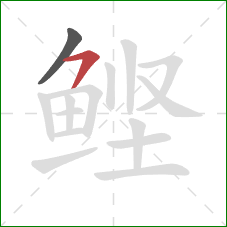 鲣的笔顺第2画：横撇