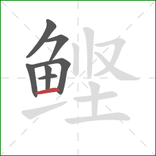 鲣的笔顺第7画：横