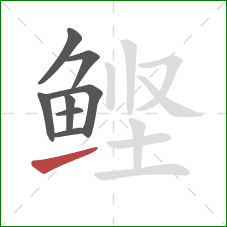 鲣的笔顺第8画：提