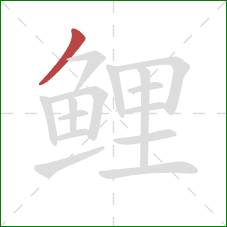 鲤的笔顺第1画:撇 鲤的笔顺第1画:撇