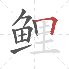 鲤的笔顺第10画:横折 鲤的笔顺第10画:横折