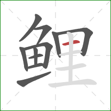 鲤的笔顺第11画:横 鲤的笔顺第11画:横