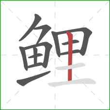 鲤的笔顺第13画:竖 鲤的笔顺第13画:竖