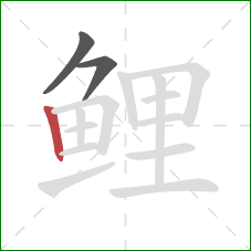 鲤的笔顺第3画:竖 鲤的笔顺第3画:竖