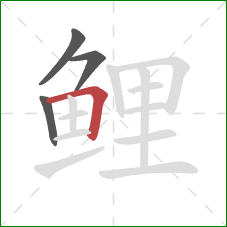 鲤的笔顺第4画:横折 鲤的笔顺第4画:横折