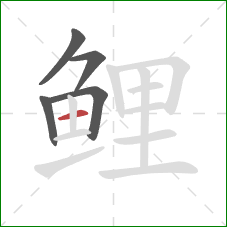 鲤的笔顺第5画:横 鲤的笔顺第5画:横